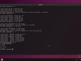 ubuntu搭建网站的优化方法 - ubuntu 搭建网站
