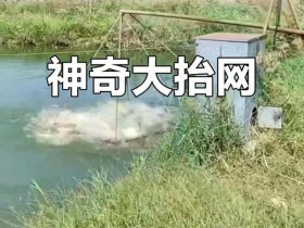 大网子的安装方法，大网子的安装方法视频