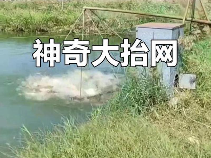 大网 大网