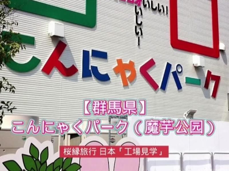 sakurafrp建站教程（sakura frp教程）