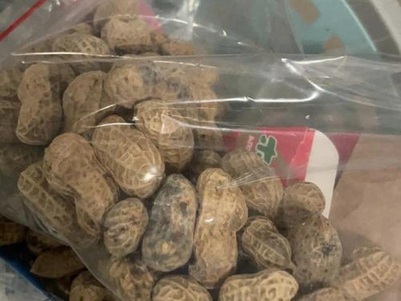 花生壳ftp 花生壳发霉了里面的花生能吃吗 花生壳ftp 花生壳发霉了里面的花生能吃吗