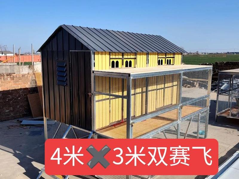 鸽棚怎么搭建合理 - 鸽棚怎么搭建合理一点 鸽棚怎么搭建合理 - 鸽棚怎么搭建合理一点