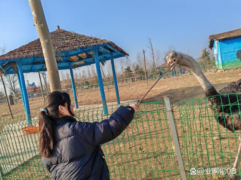 刺猬场地搭建（刺猬场地搭建视频）