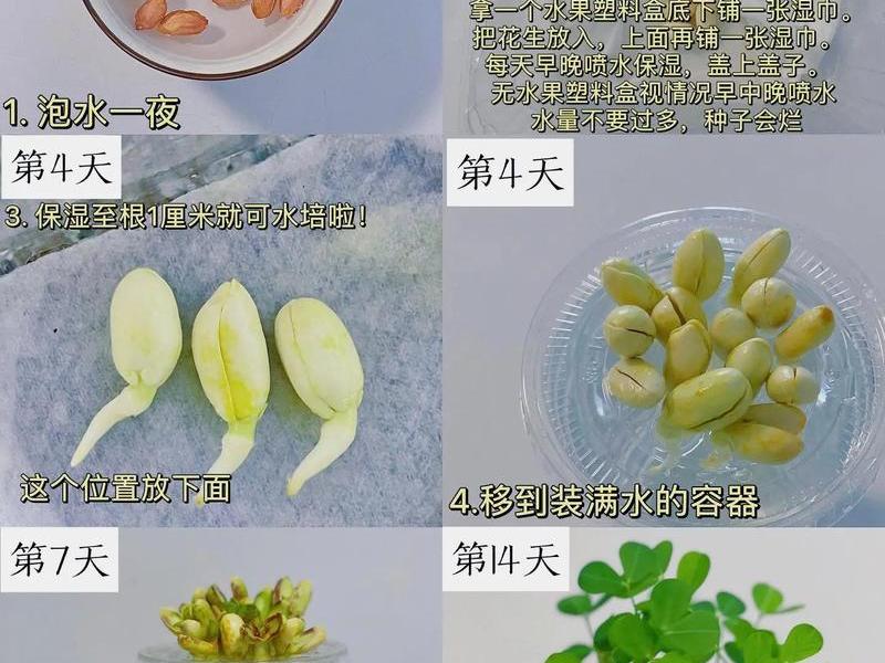 花生壳使用教程远程 花生壳使用教程远程操作 花生壳使用教程远程 花生壳使用教程远程操作