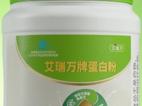 安途站（安途站长网蛋白石）