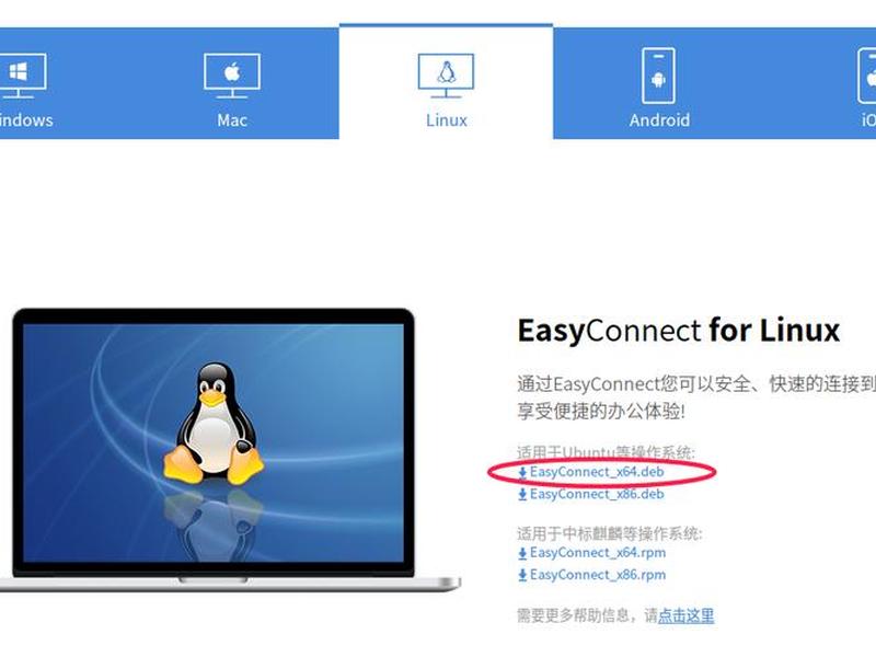 easyconnect搭建服务器 - easyconnect 服务器搭建 easyconnect搭建服务器 - easyconnect 服务器搭建