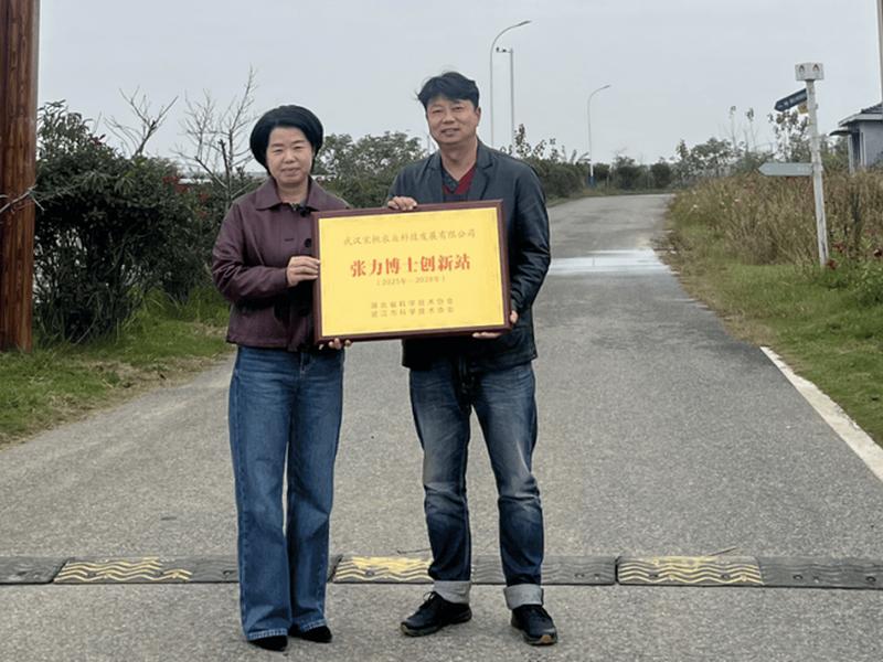 博士站怎样建立、公司怎么建立博士站