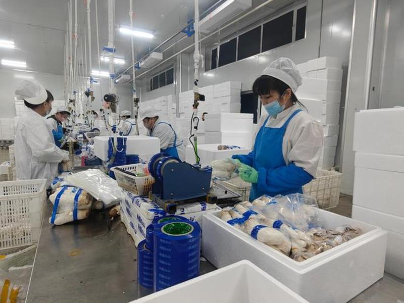 安图官网 安图实业官网 安图官网 安图实业官网