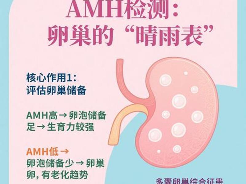 amh检查是什么;amh检查是什么检查项目 amh检查是什么;amh检查是什么检查项目