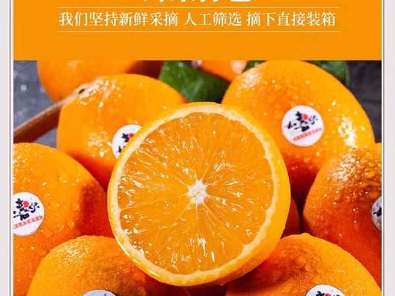 橙子建站官方 橙子建站官方客服 橙子建站官方 橙子建站官方客服