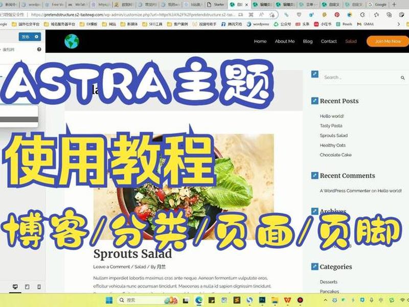 wordpress astra新手使用教程,wordpress rest api教程 wordpress astra新手使用教程,wordpress rest api教程