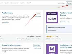 woocommerce支付（woocommerce支付完不跳转）