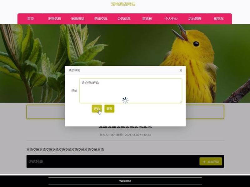 nodejs创建vue项目 创建nodejs 基于express项目