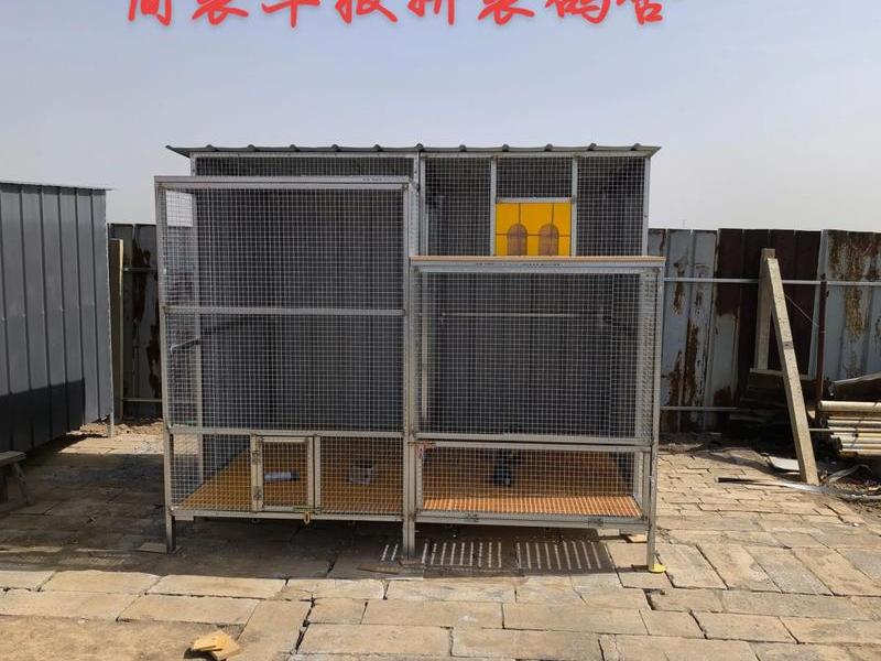 鸽棚怎么搭建鸽窝;鸽棚怎么搭建鸽窝视频 鸽棚怎么搭建鸽窝;鸽棚怎么搭建鸽窝视频