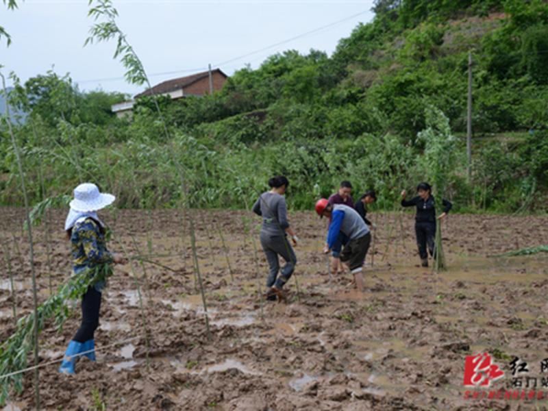 搭建分站怎么赚钱 搭建分站怎么赚钱的 搭建分站怎么赚钱 搭建分站怎么赚钱的