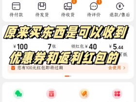 多多返利活动 多多返利是什么