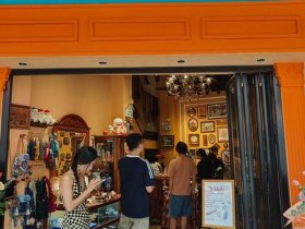 shoping什么意思，serona shoping什么意思