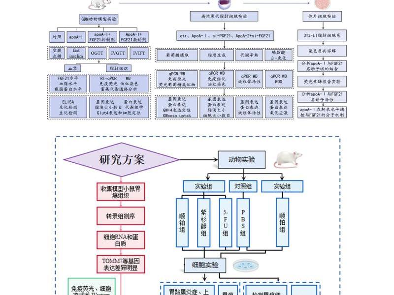 thinkphp开发框架、基于thinkphp开发的框架 thinkphp开发框架、基于thinkphp开发的框架