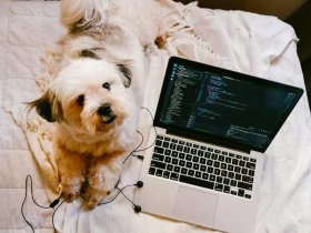 nodejs搭建邮件服务器（nodejs搭建文件服务器）