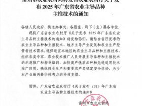 关于建立村级信息化平台（关于建立村级信息化平台的通知）
