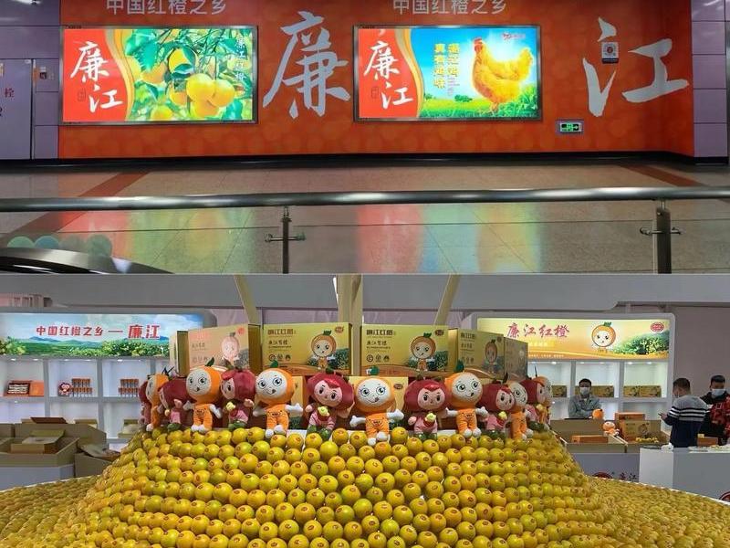 橙子建站广告投放中危行业;橙子建站广告怎么投放 橙子建站广告投放中危行业;橙子建站广告怎么投放
