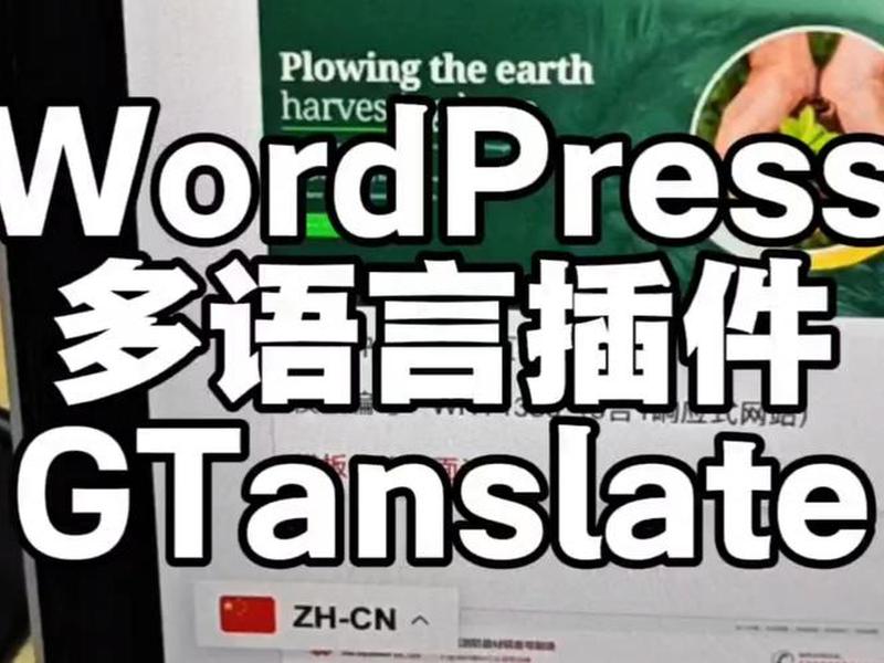 wordpress多语言网站搭建教程,wordpress做多语言企业网站 wordpress多语言网站搭建教程,wordpress做多语言企业网站
