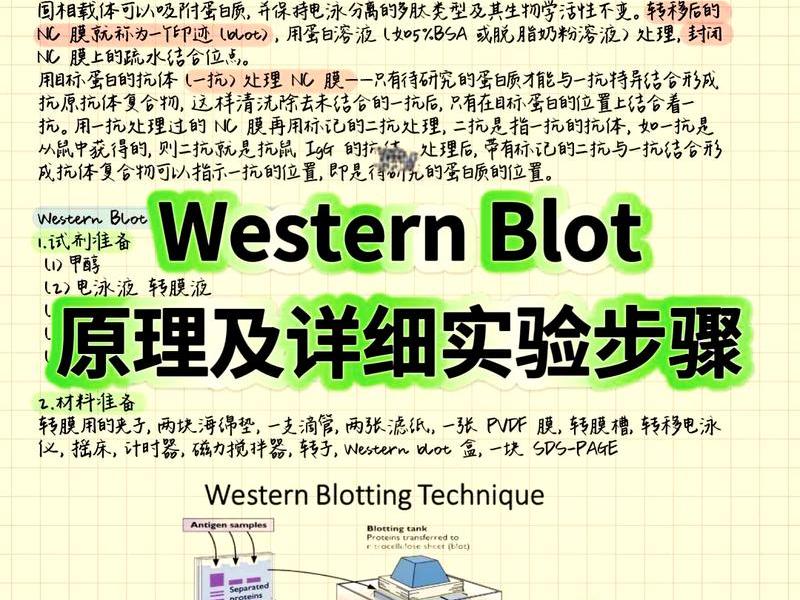 wb操作视频 - wb操作过程