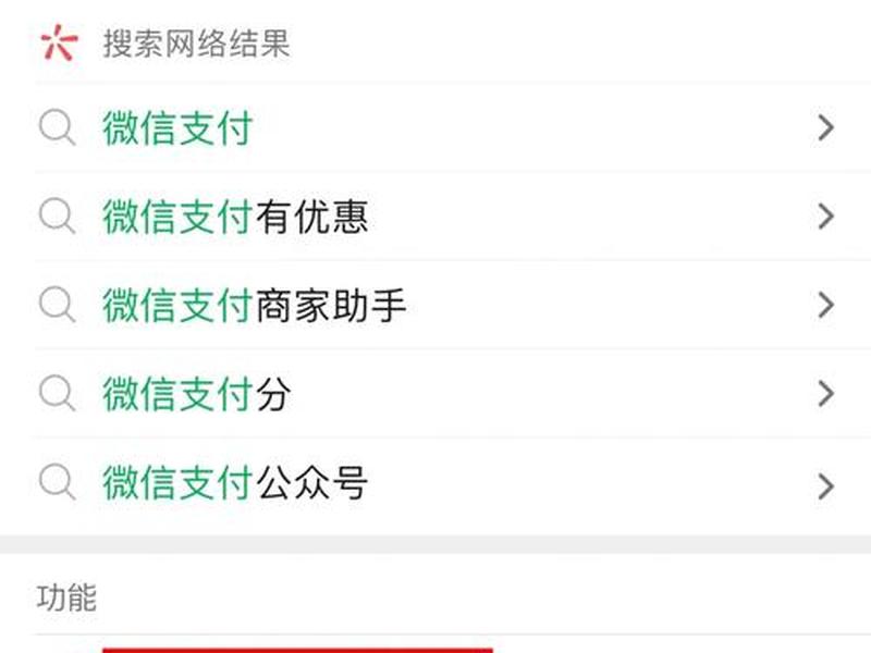 wordpress支付功能;wordpress微信支付 wordpress支付功能;wordpress微信支付