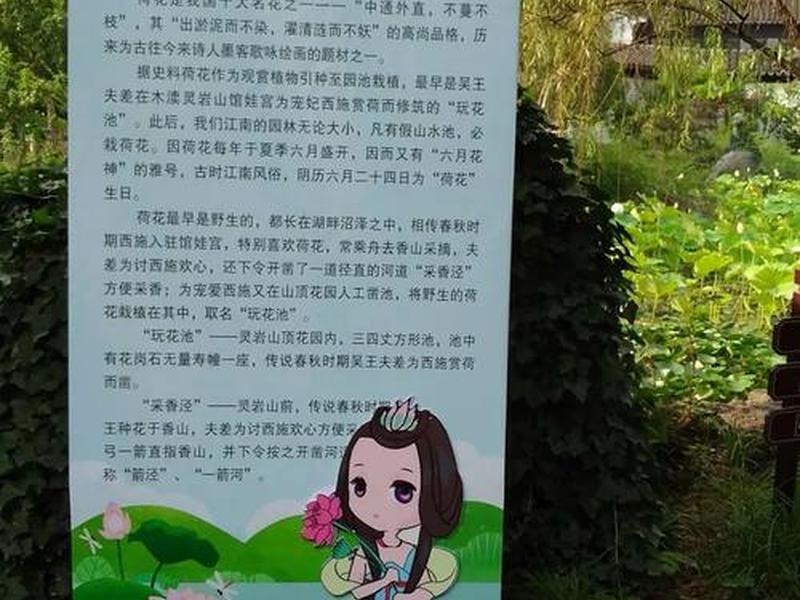 蝉知夏拓展基地时长、夏蝉知桃 蝉知夏拓展基地时长、夏蝉知桃