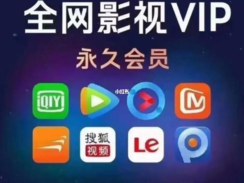 vip影视频道 影视会员vip平台 vip影视频道 影视会员vip平台