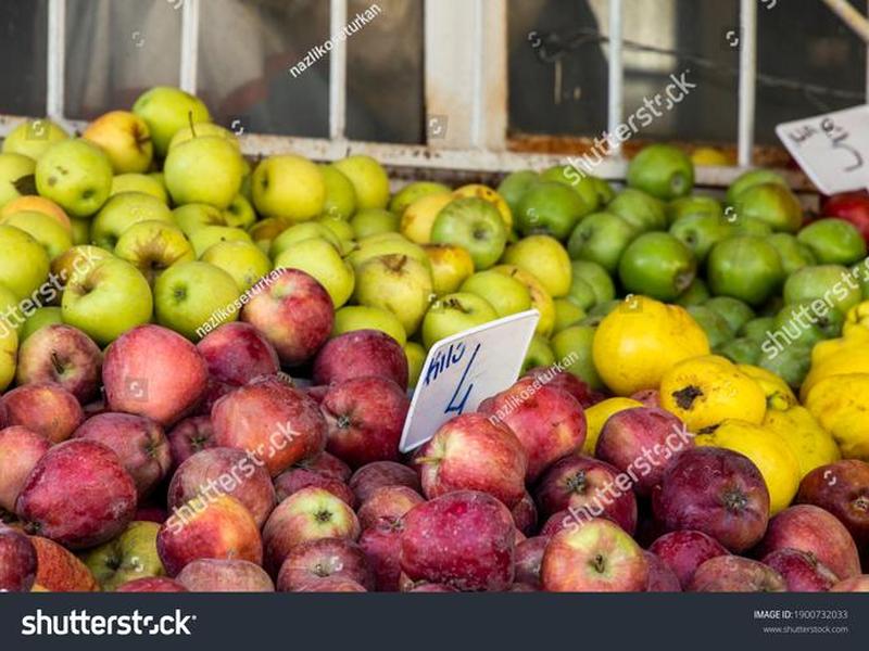 orchard发行 orchards orchard发行 orchards