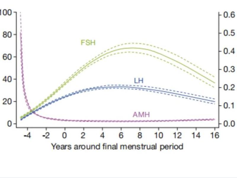 amh建站教程 amh数据 amh建站教程 amh数据