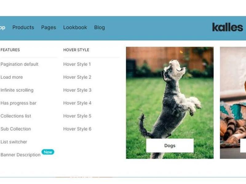 shopify建站教程视频 - shopify建站教学视频