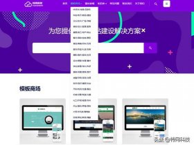 saas建站是什么意思 - saas建站服务