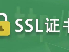 宝塔域名证书 宝塔ssl证书一直显示待域名确认