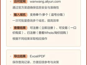 国外网站域名注册；国外网站域名注册流程