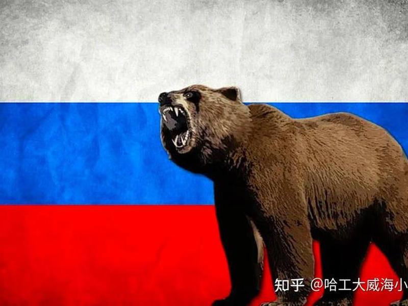 俄罗斯独立网络(俄罗斯独立互联网) 俄罗斯独立网络(俄罗斯独立互联网)