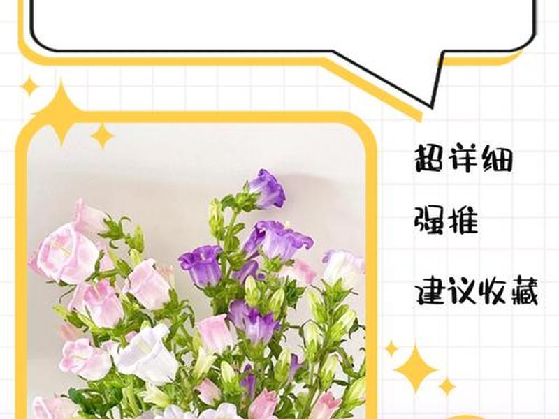 风铃种植时间方法 风铃种植时间方法图解 风铃种植时间方法 风铃种植时间方法图解