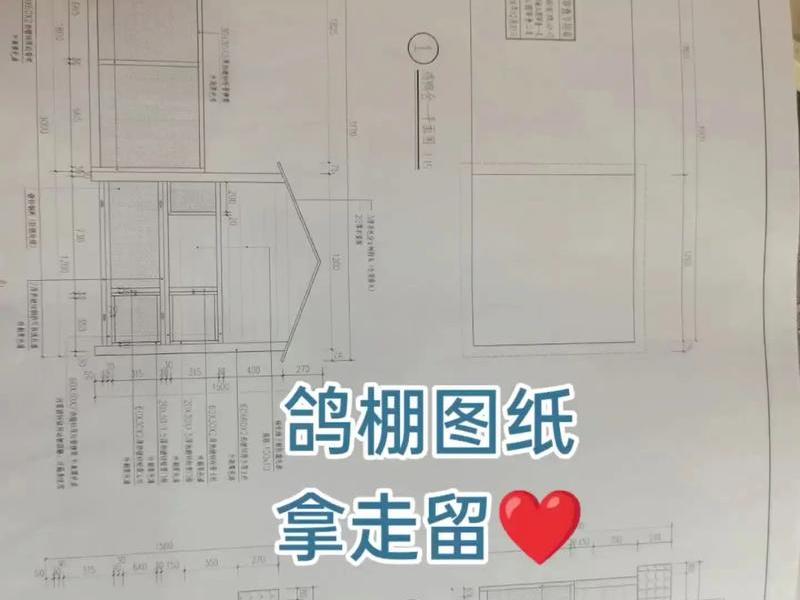 鸽棚怎么建站架视频教程大全;鸽棚怎么建站架视频教程大全图片 鸽棚怎么建站架视频教程大全;鸽棚怎么建站架视频教程大全图片