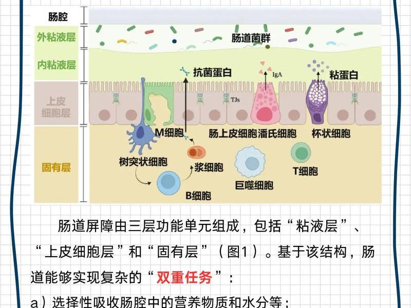 oxygen翻译;process oxygen翻译 oxygen翻译;process oxygen翻译