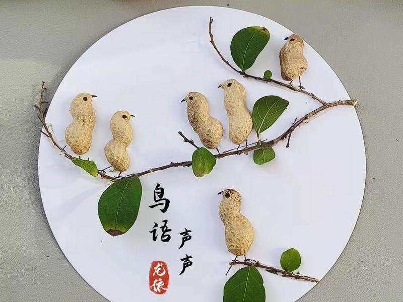 花生壳搭建个人网站 利用花生壳建个人网站