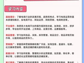 大连电商运营成功案例，大连电商运营公司