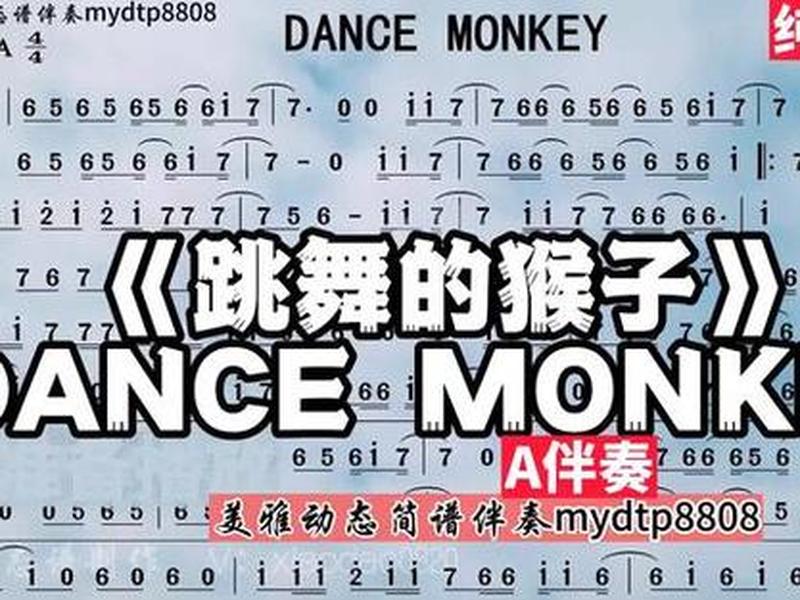 monkey编舞零基础教学、dance monkey舞蹈分解教学 monkey编舞零基础教学、dance monkey舞蹈分解教学