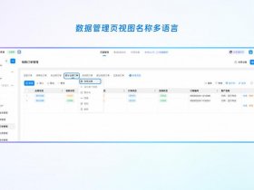 多语言网站系统（多语言建站系统）