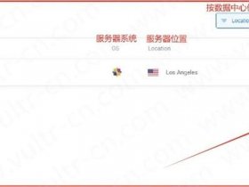 vultr中文网 如何下载vultr官网中文