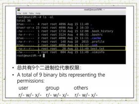 linux 主机 linux 主机名变成 --101 udp