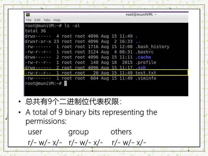 linux 主机 linux 主机名变成 --101 udp linux 主机 linux 主机名变成 --101 udp