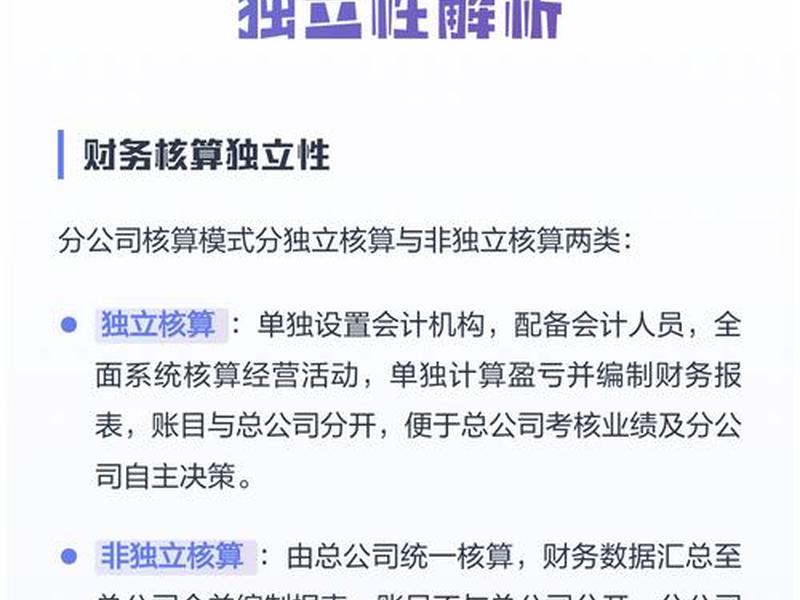 公司独立站财务核算怎么做 - 公司独立核算是什么意思