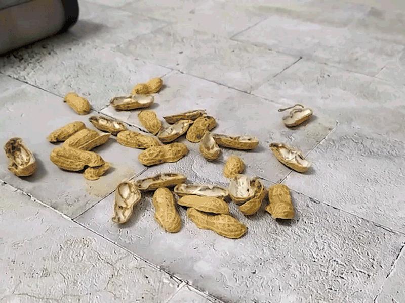花生壳动态端口多久更新一次,花生壳动态端口多久更新一次啊 花生壳动态端口多久更新一次,花生壳动态端口多久更新一次啊