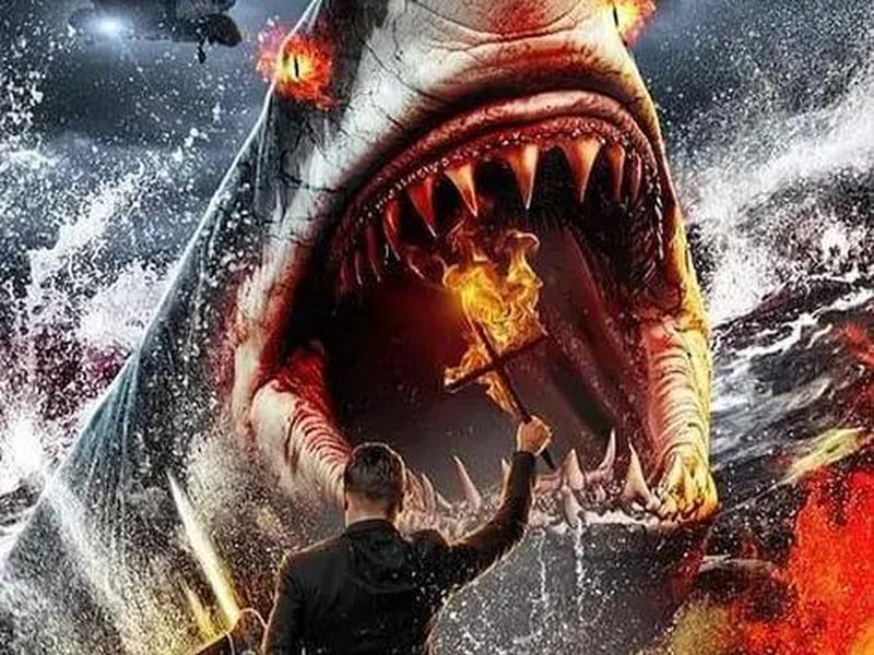 shark attack - shark attack2